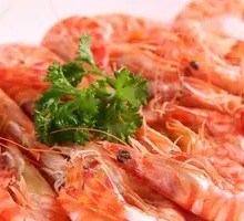 Fresh Shrimp