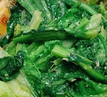 Oilseed lettuce