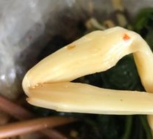 Braised Bamboo Shoots