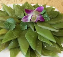 Sea lettuce