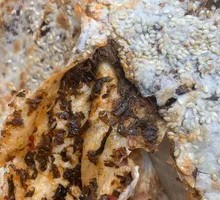 Luxury Pickled Mustard Greens