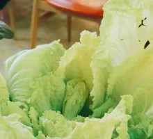 Baby bok choy
