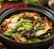 Vegetable Stew