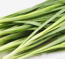 Leek