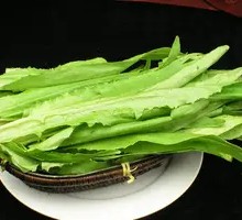 Oilseed lettuce