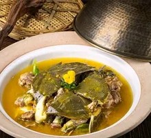 Ancient Method Ecological Softshell Turtle