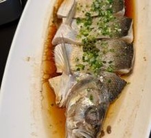 Scallion and Pepper Big Catfish