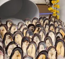 蒜蓉黑口贝