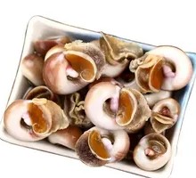 Fresh Fragrant Snail