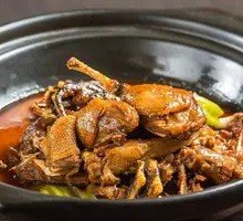 One Quality Lake Duck