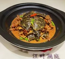 Special Large Pond Turtle