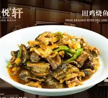 Frog and Fish Gelatin Stew