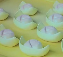 Dumplings with Vegetable and Meat Filling