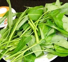 Bamboo Shoot Greens