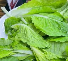 Chinese cabbage
