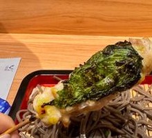 Plum Chicken Skewers