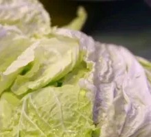 Cabbage