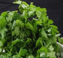 Cilantro