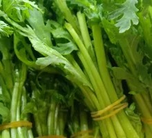 Chinese chrysanthemum greens