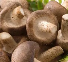 Shiitake Mushroom