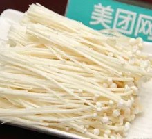 Enoki Mushroom