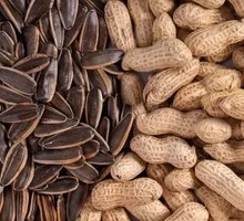 Sunflower Seeds and Peanuts Mix