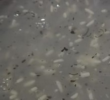 Hot Dry Noodles with Osmanthus Rice Wine