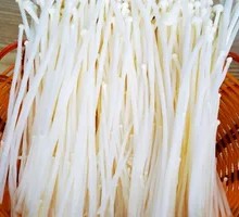 Enoki Mushroom