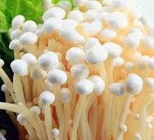 Enoki Mushroom
