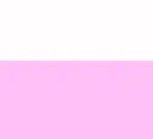 Aged Angus Ribeye Steak