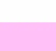 Golden Pillow Durian Pizza