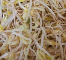 Bean sprouts