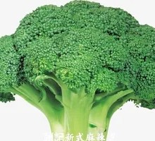 Broccoli