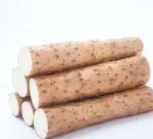 Chinese yam