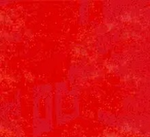 Big Satisfaction Eel Rice