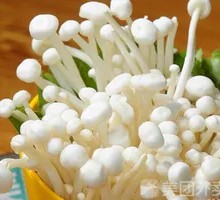 Enoki Mushroom