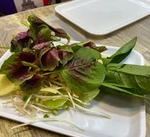 Unlimited Vegetables and Dishes for Boiling