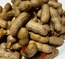 Braised Peanuts