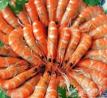 Prawn