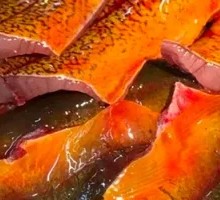 Eel Slices