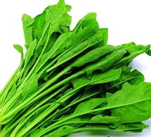 Spinach