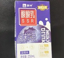 Blueberry Yogurt