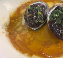 Abalone