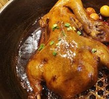 Medicinal Duck
