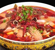 Premium Maoxuewang