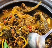 Softshell Turtle and Catfish Bubble Stew