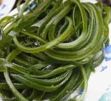 Kelp