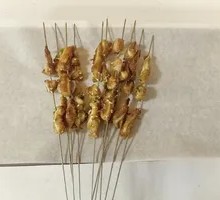 Crispy Pork Ribs