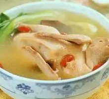 Pigeon Soup