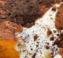 Mudflow Milk Custard